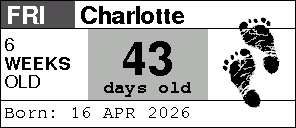 Anniversary preview